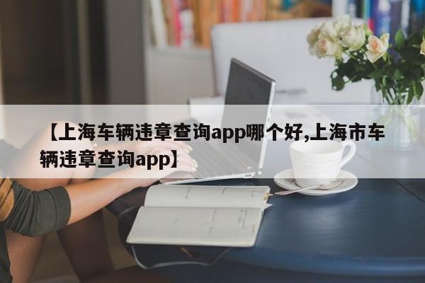 【上海车辆违章查询app哪个好,上海市车辆违章查询app】