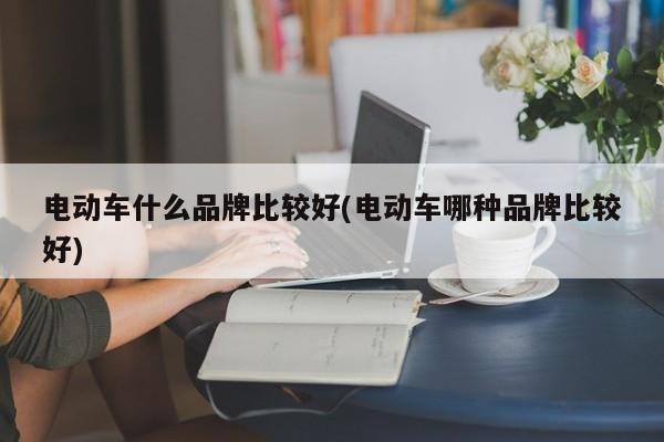 电动车什么品牌比较好(电动车哪种品牌比较好)