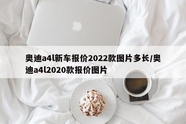奥迪a4l新车报价2022款图片多长/奥迪a4l2020款报价图片