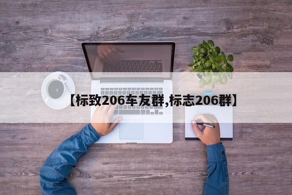 【标致206车友群,标志206群】