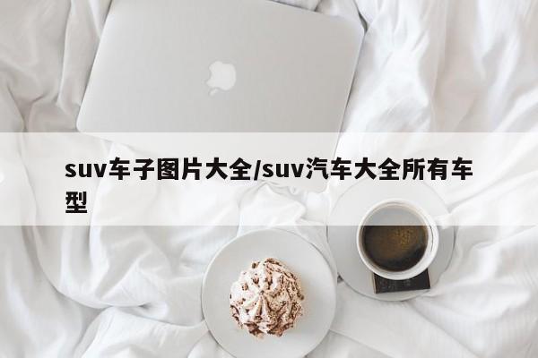 suv车子图片大全/suv汽车大全所有车型